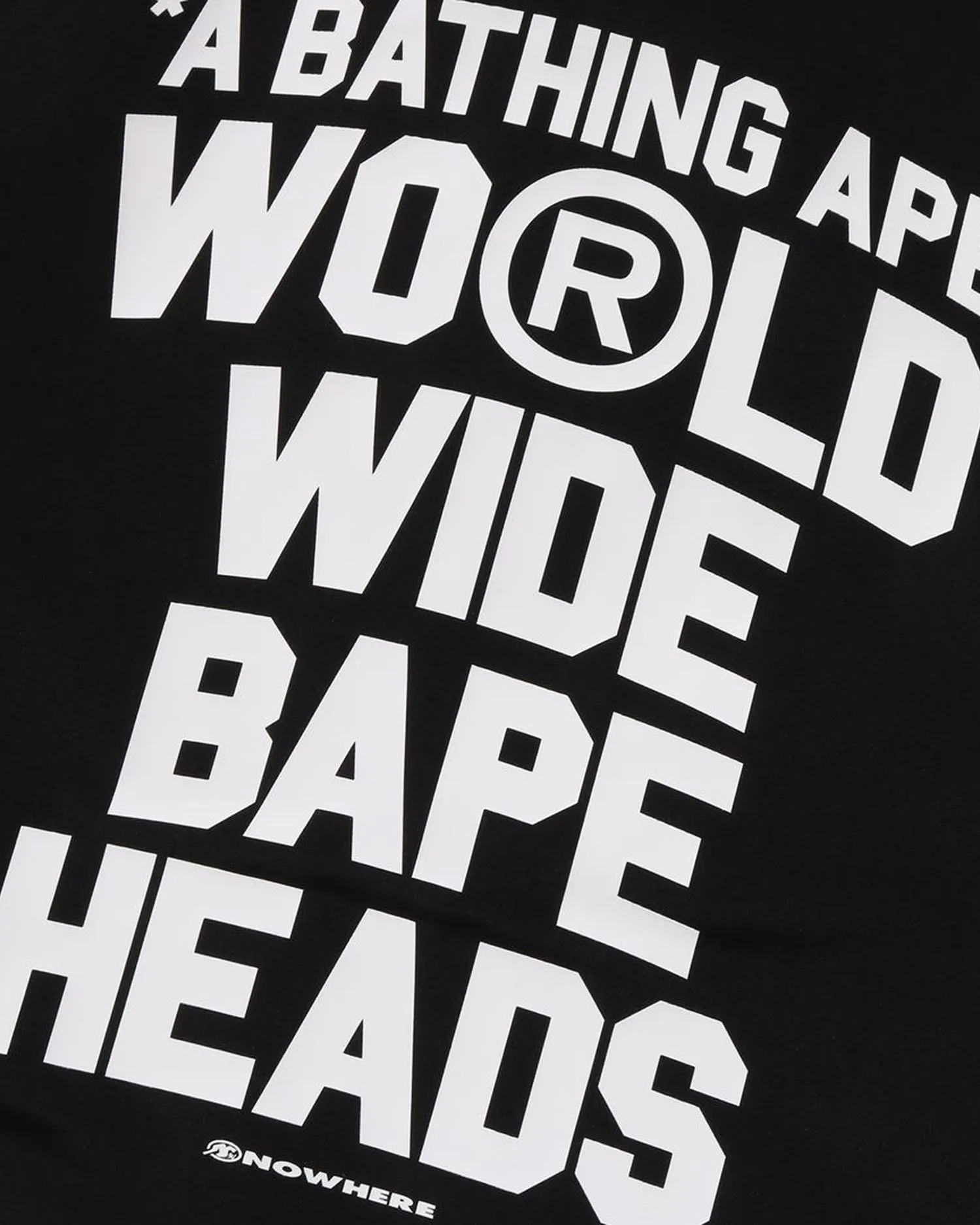 BAPE Flyer Pattern Reversible Coach Jacket