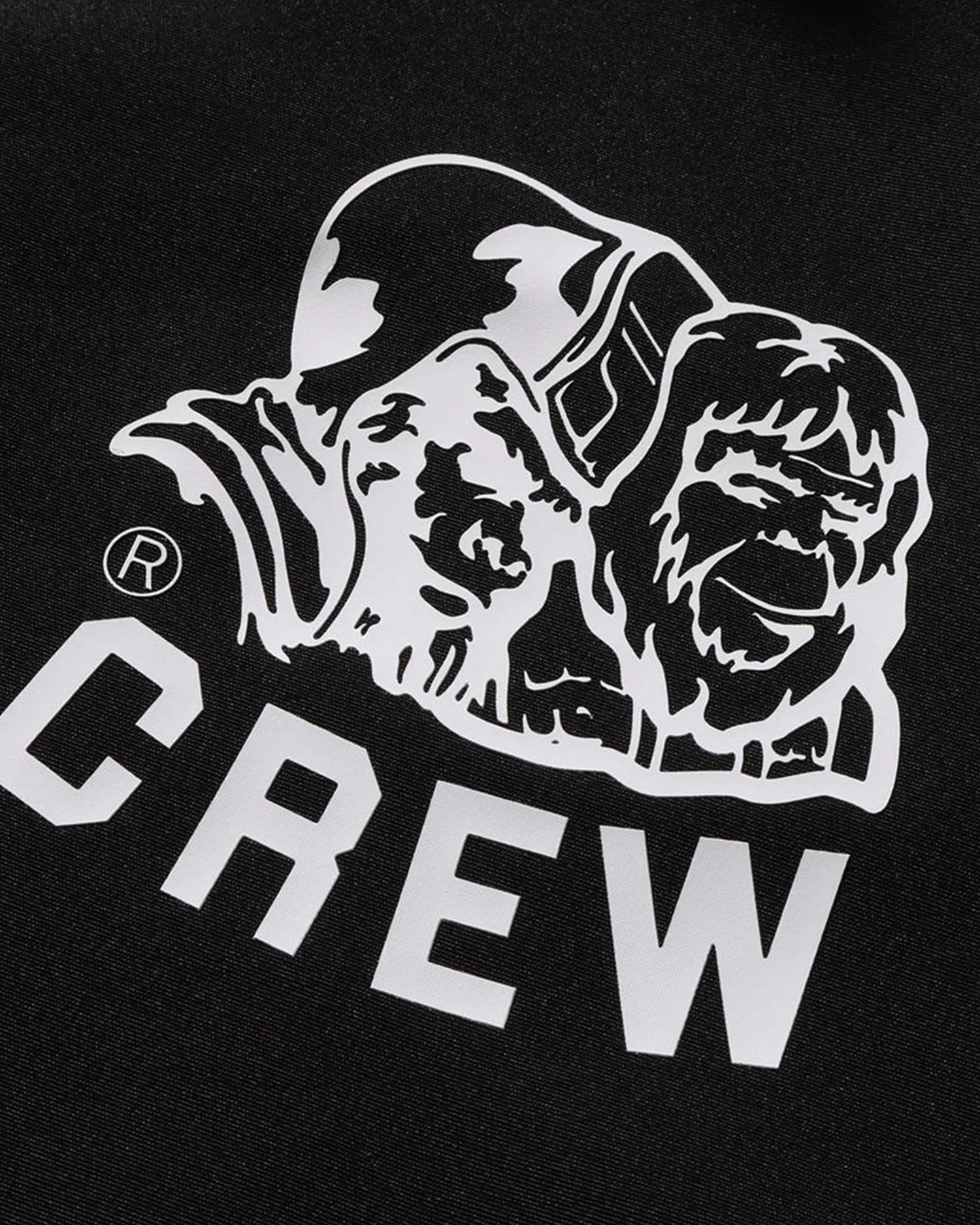 BAPE Flyer Pattern Reversible Coach Jacket