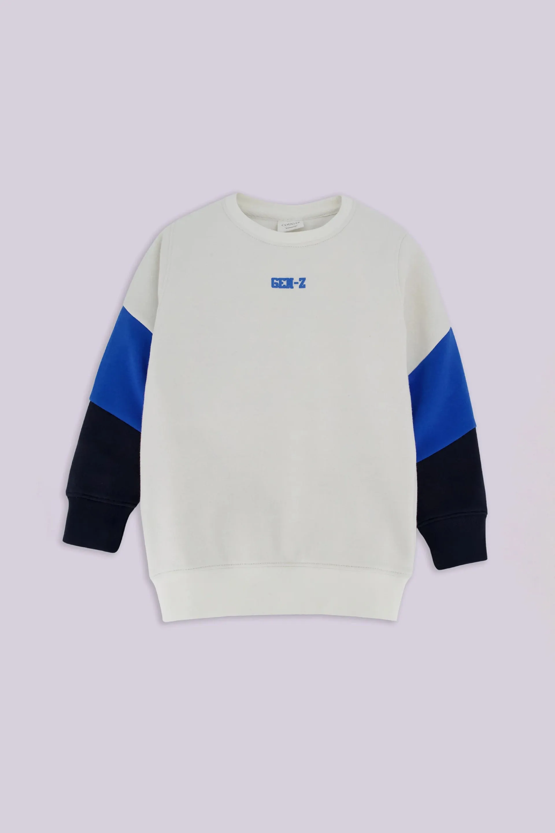 Color Block Sweatshirt