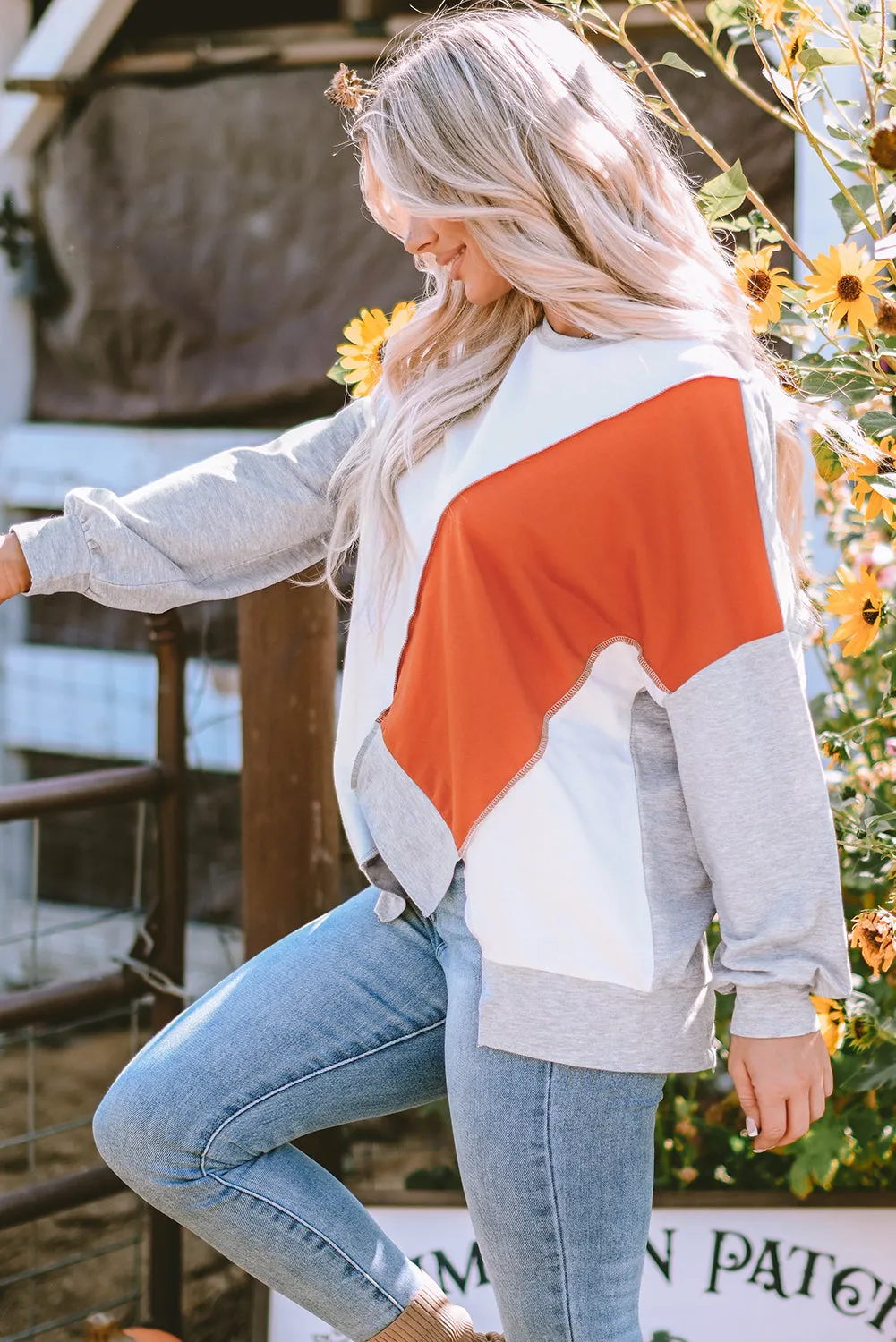 Colorblock  Irregular Hem Top