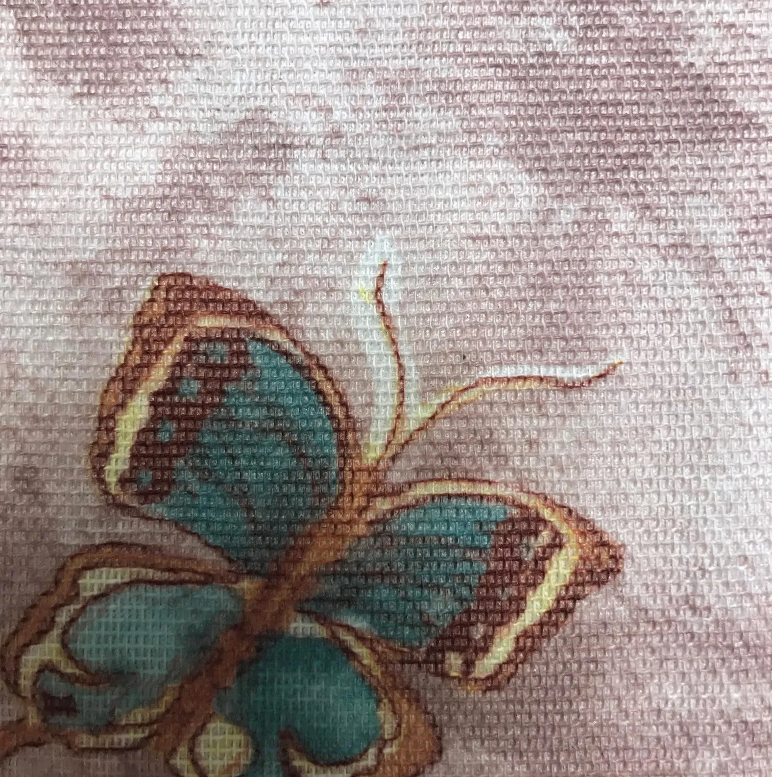 HOODIE MICROFIBER BUNNY/BUTTERFLIES