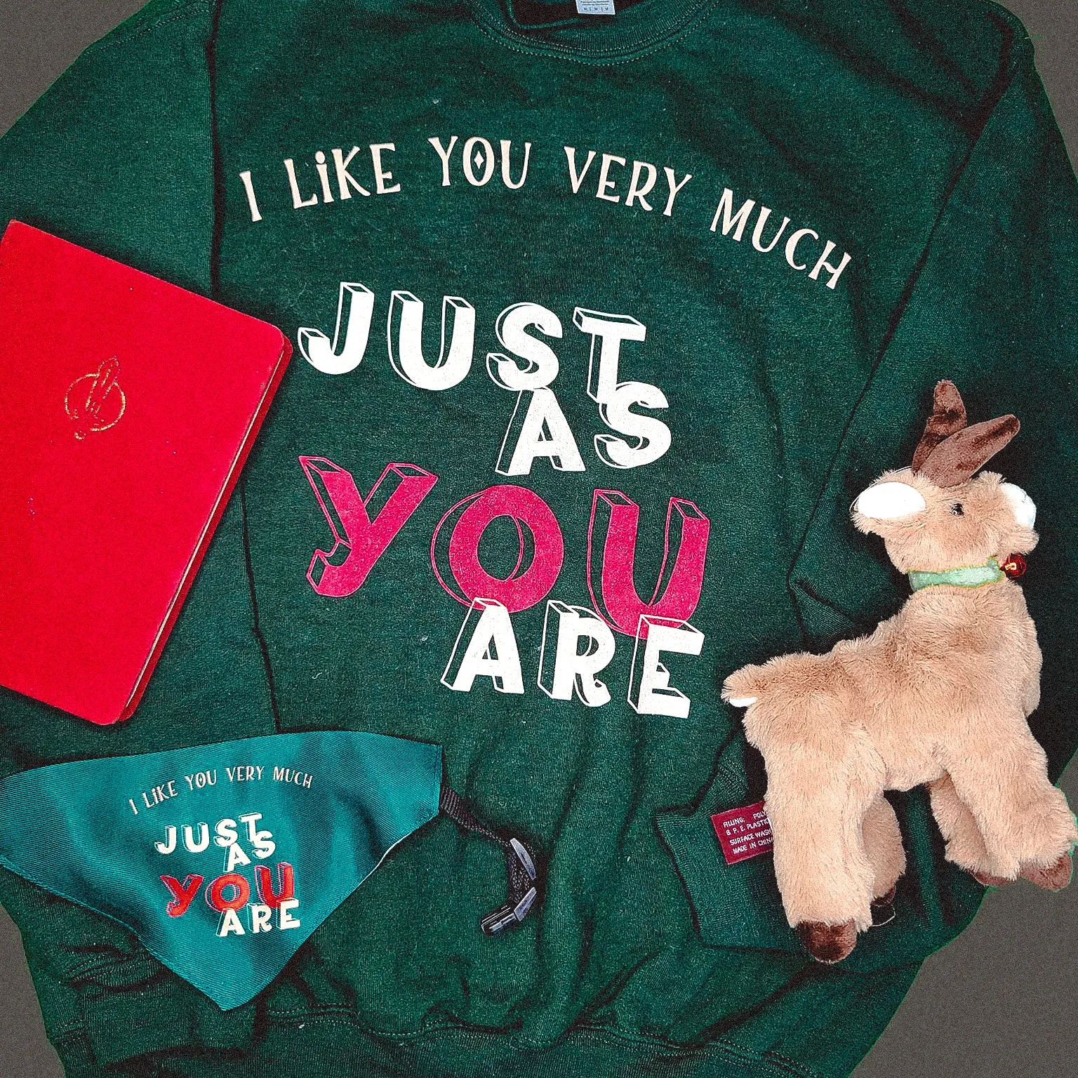 I like you just as you are Sweatshirt