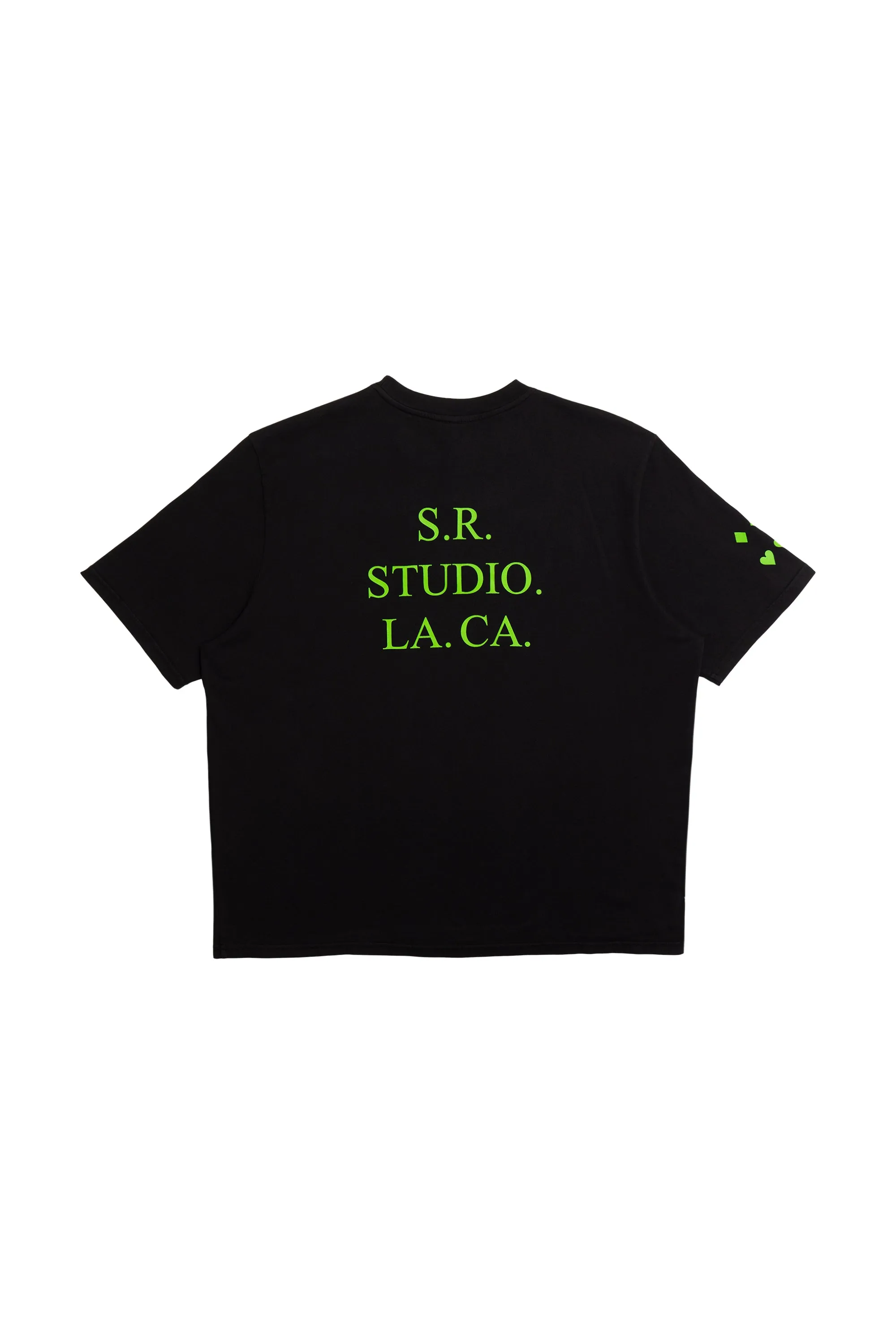 INSECT INDEX OVERSIZED SHORT SLEEVE T-SHIRT