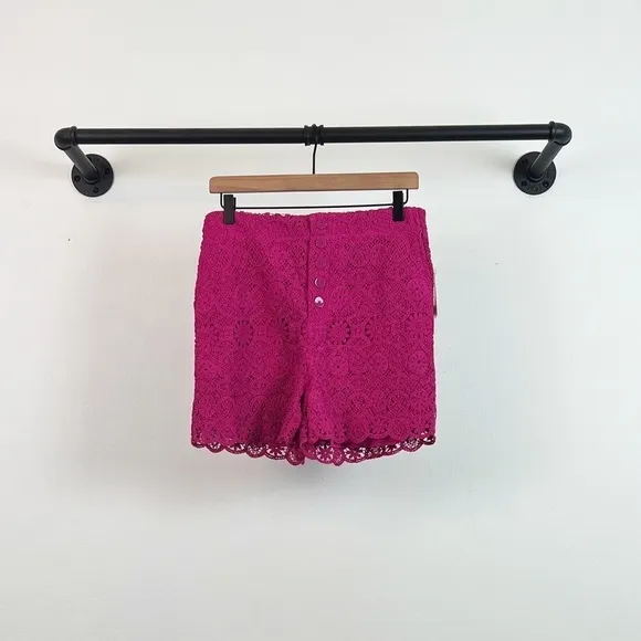 NWT Anthropologie Maeve Eyelet Crochet High Rise Shorts in Pink