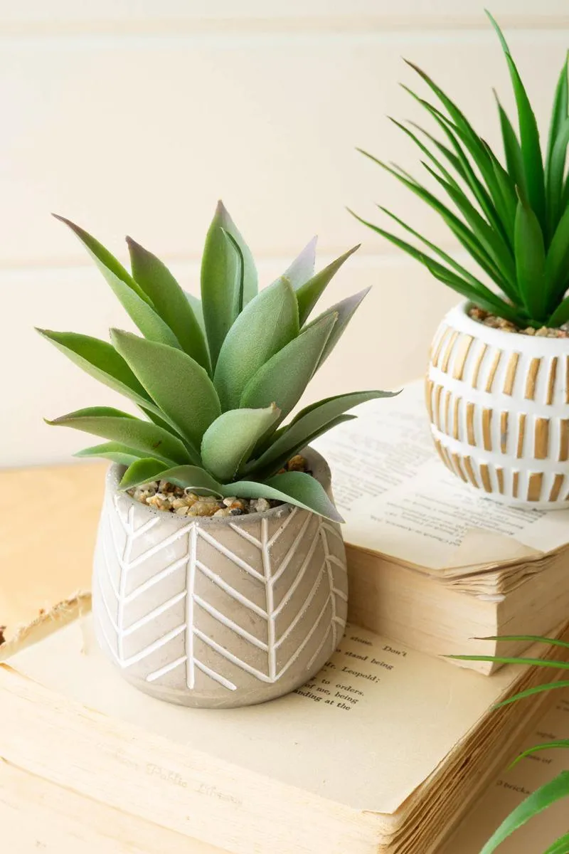 Set of 6 Artificial Succulents In Cement Pots