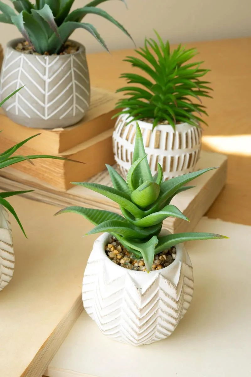 Set of 6 Artificial Succulents In Cement Pots