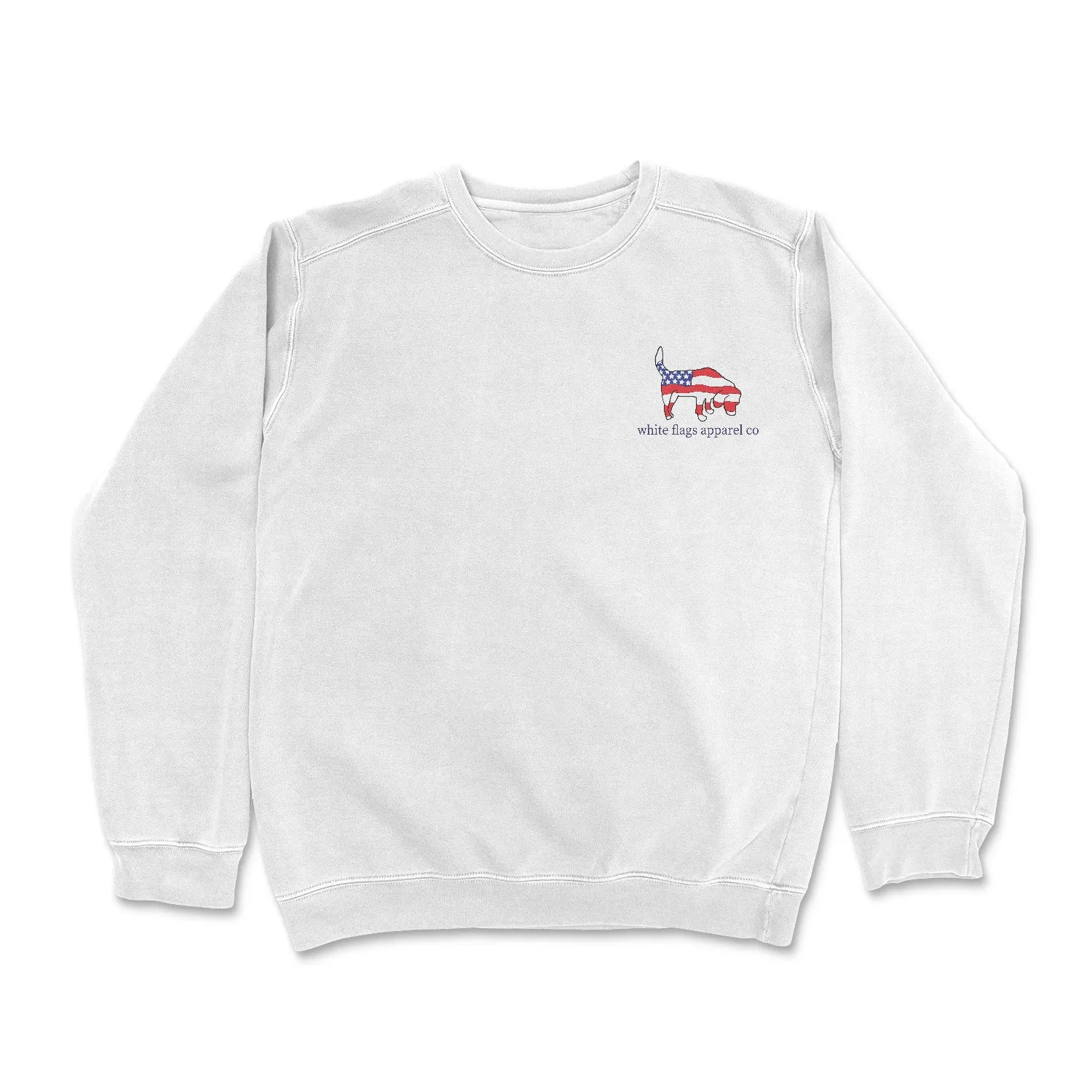 Soft Pastel Crewneck - American Flag