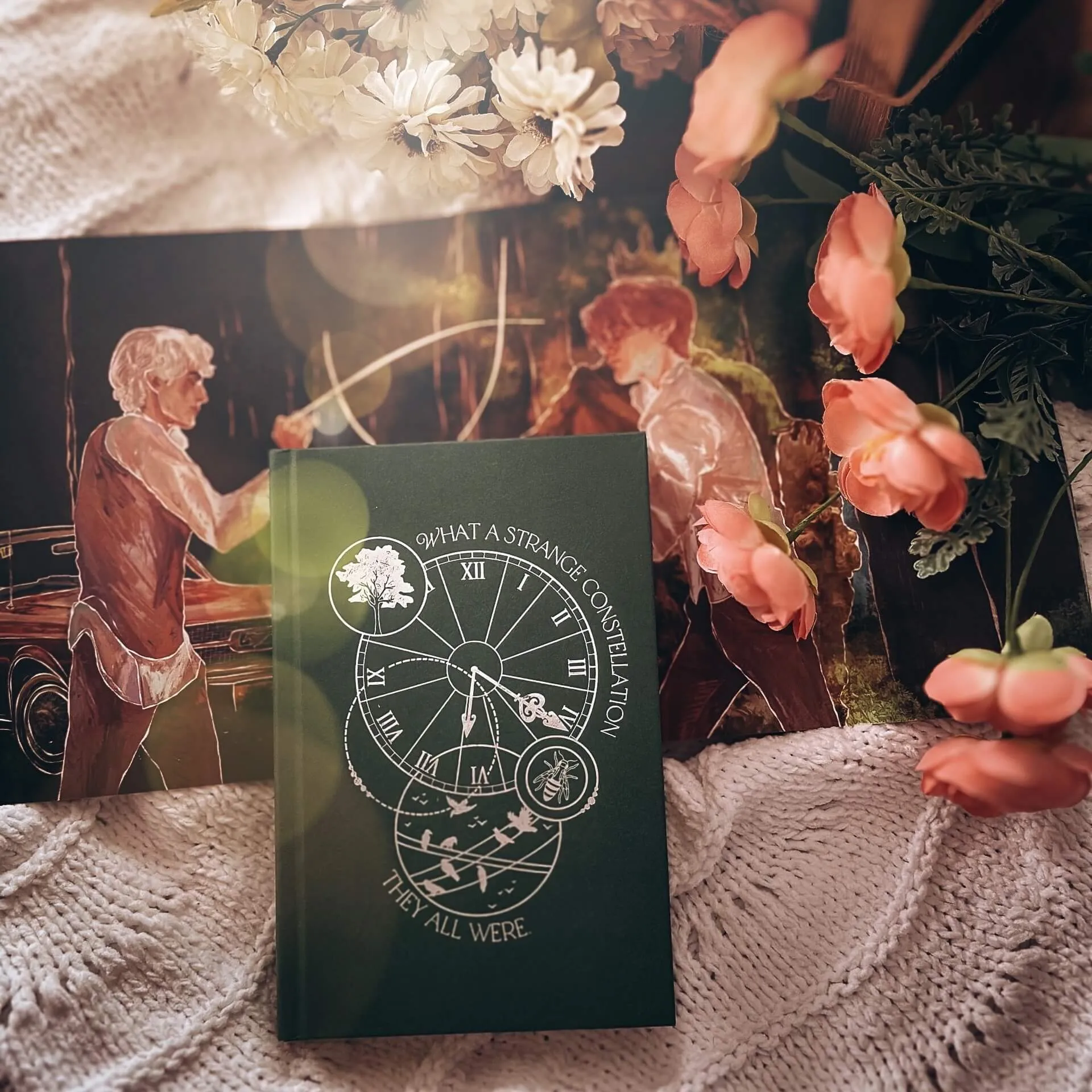 The Raven Cycle, Books 2-4 (Exclusive OwlCrate Editions)