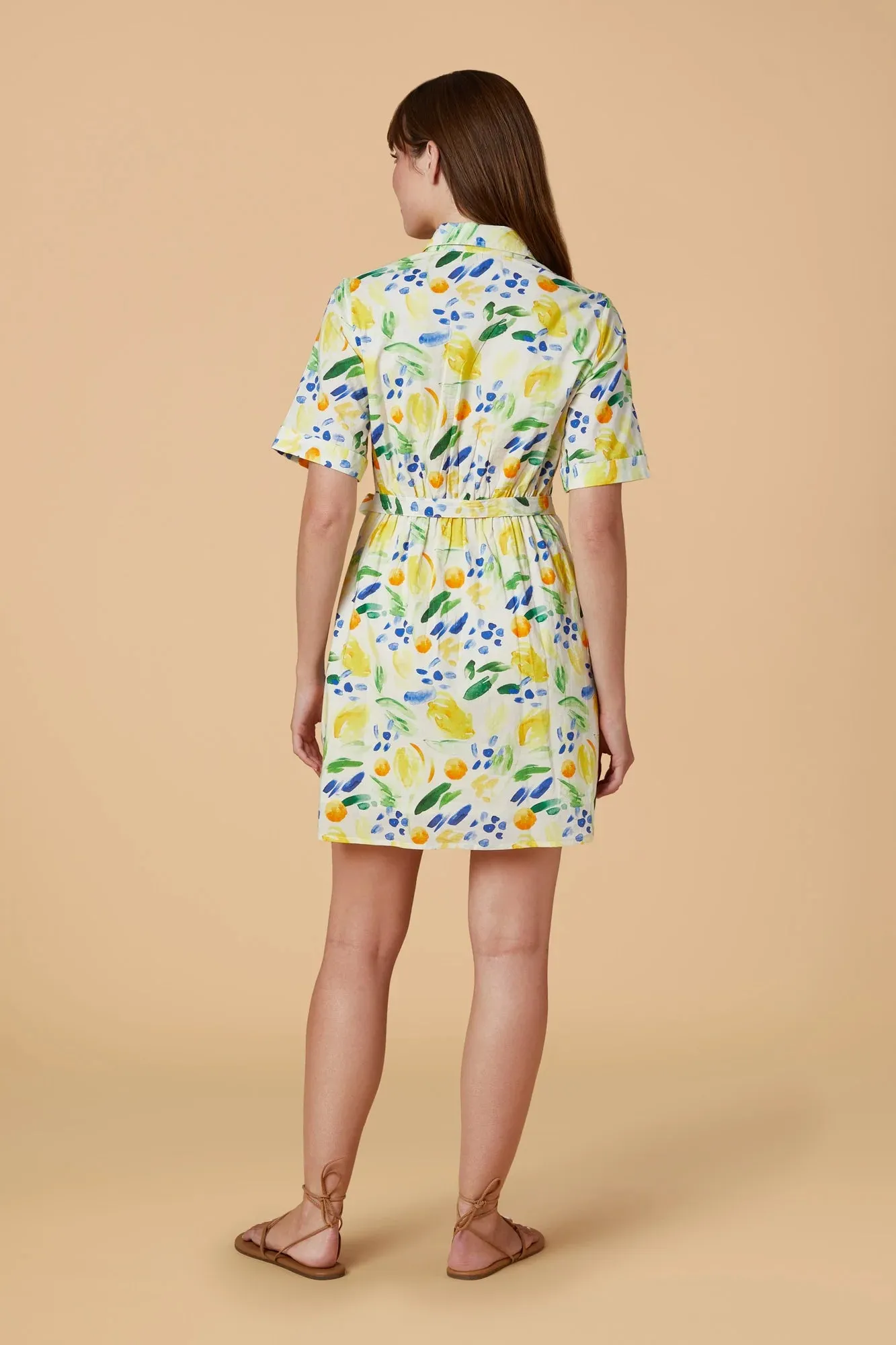 Tilly Dress (Clementine)