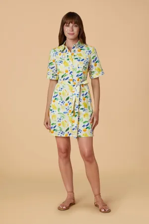 Tilly Dress (Clementine)